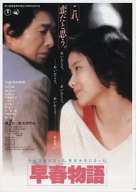 电影 第三个人 海报