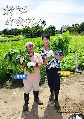 综艺《一见面就结婚》海报 2014